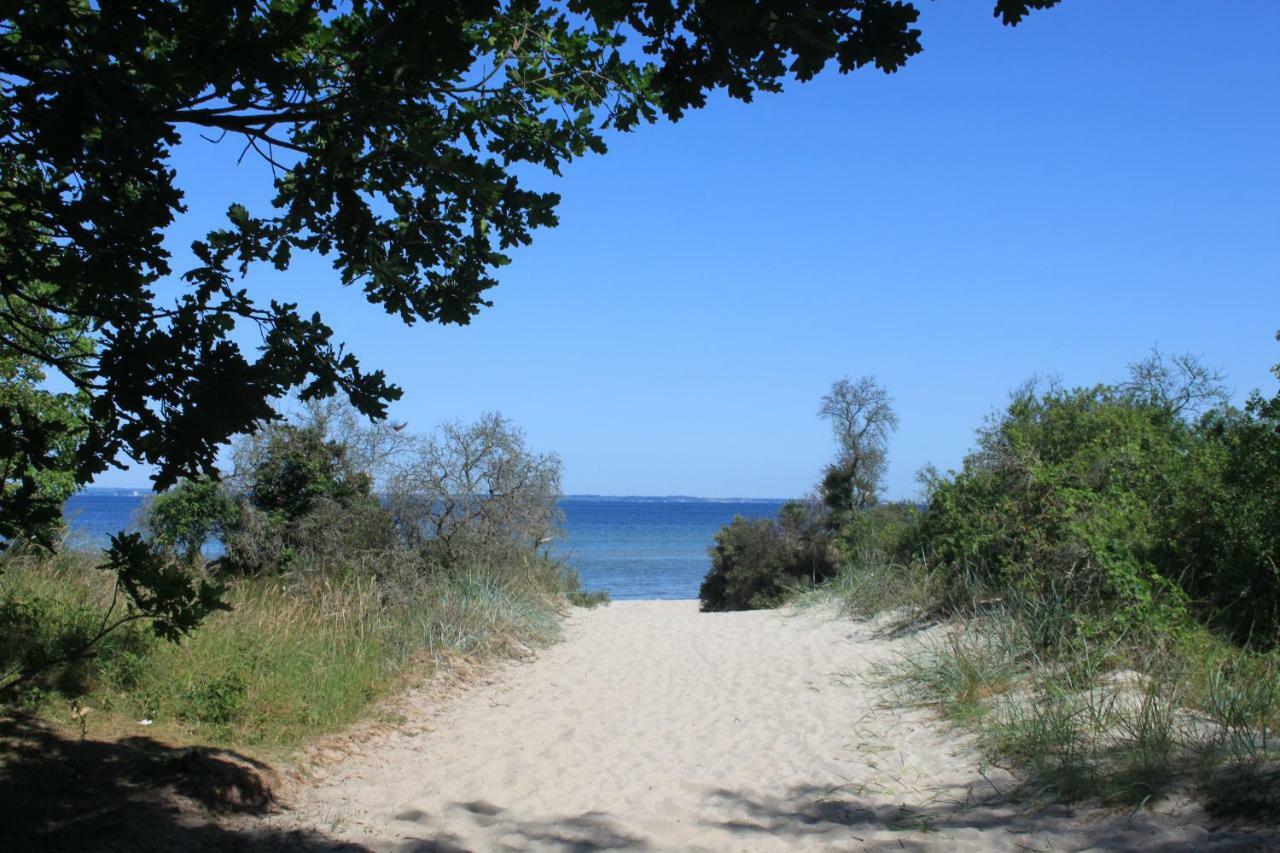 Feriendomizil Lotta Und Michel Villa Hof Barendorf Kültér fotó